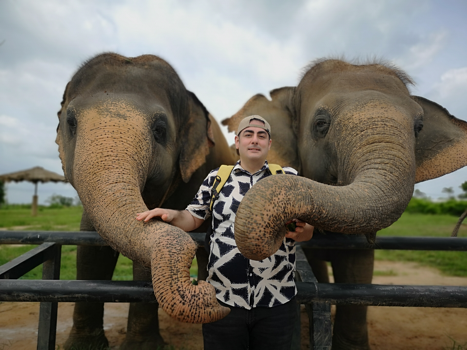 Thailand elephant sanctuary travel experience
